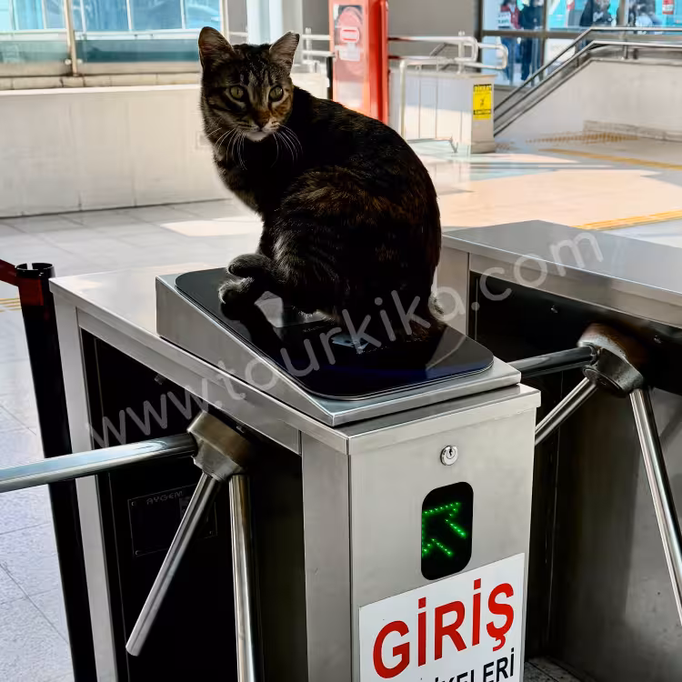 πινακίδα που λέει στα τούρκικα Giriş (είσοδος)