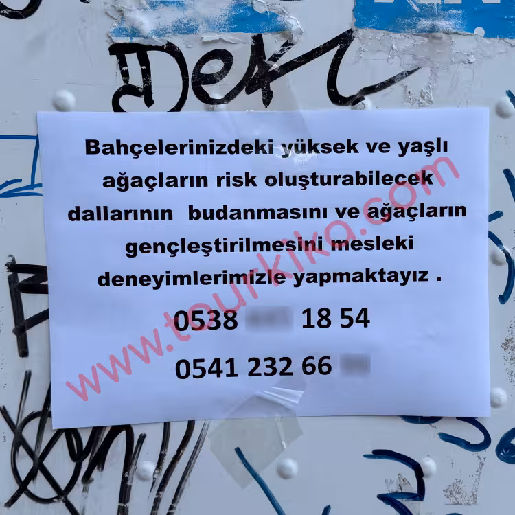 Αγγελία που γράφει στα τούρκικα Bahçelerinizdeki yüksek ve yaşlı ağaçların (... των ψηλών και ηλικιωμένων δέντρων που βίσκονται στους κήπους σας ...)